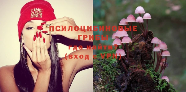 mdma Краснослободск